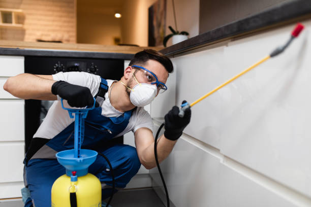 Best Best Pest Control Companies  in Merrick, NY