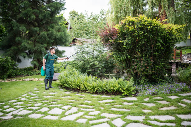 Best Pest Inspection Near Me  in Merrick, NY