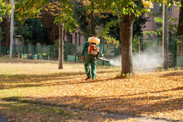 Best Pest Removal Services  in Merrick, NY