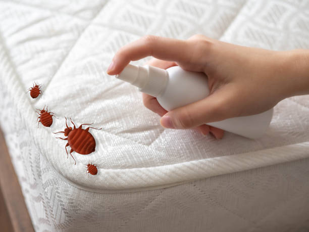 Best Bed Bug Extermination  in Merrick, NY