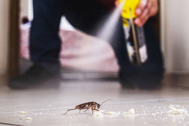 Best Flea Control Services  in Merrick, NY