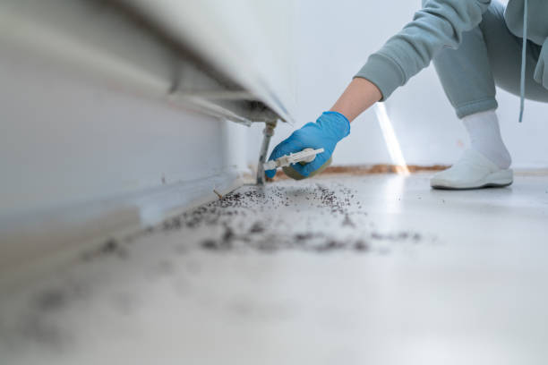 Best Mosquito Control Services  in Merrick, NY